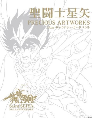 Saint Seiya Precious Artworks