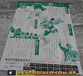 Panfleto promocional do filme da ris no Japo